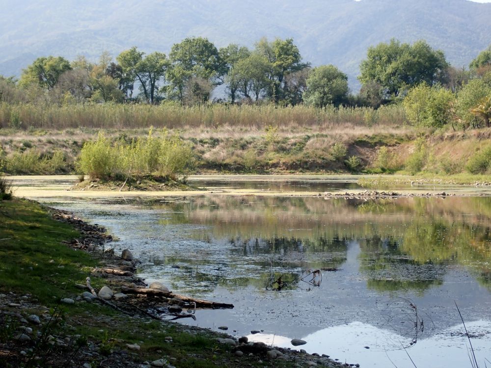 Els Baixos, Villelongue dels Monts ©JLJalla